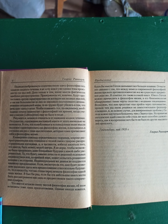 Генрих Риккерт