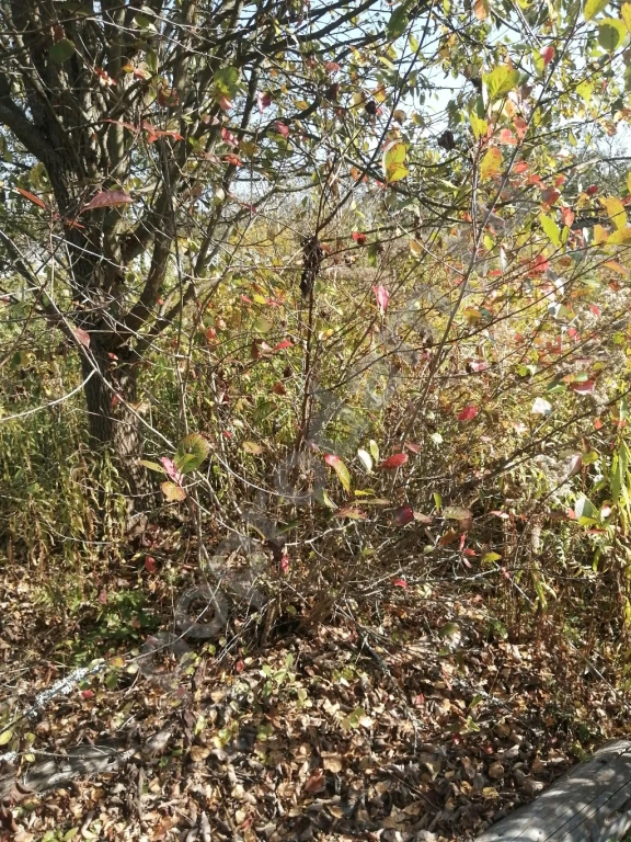 Участок 6 сот. Сельхозназначения (СНТ, ДНП)