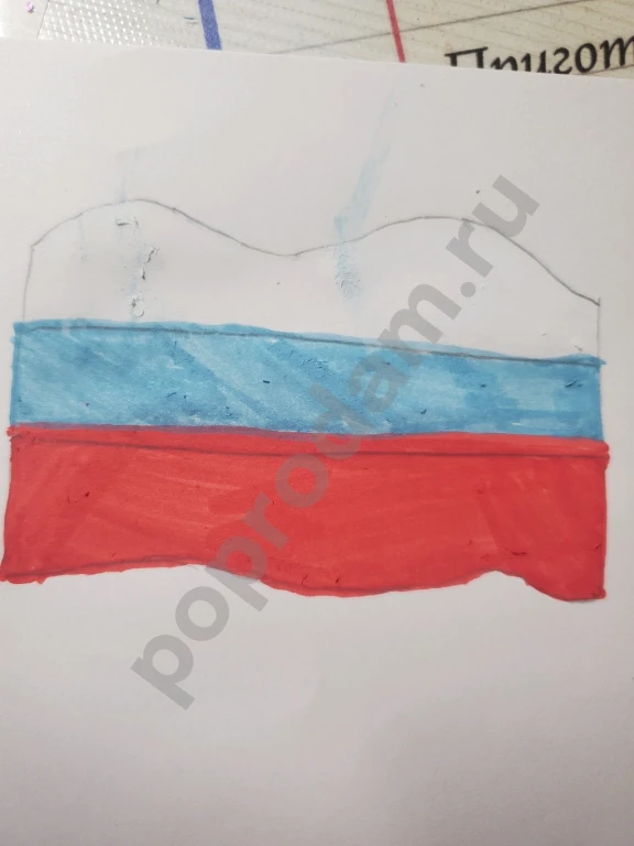 Флаги страны на заказ