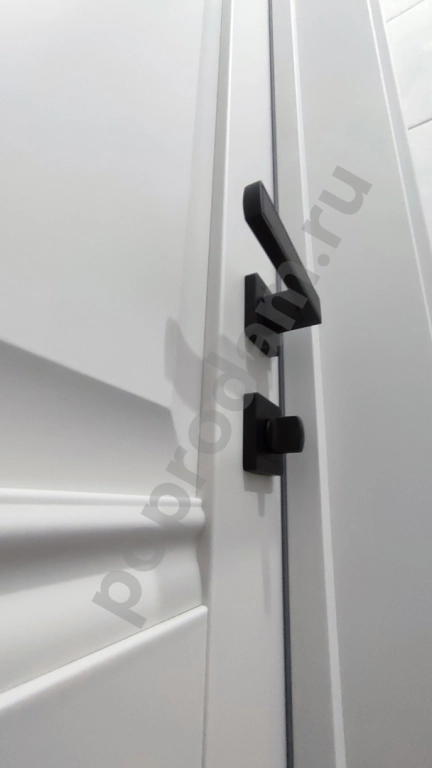 Ворота и двери от официального представителя DOORHAN — защита и комфорт вашего дома!