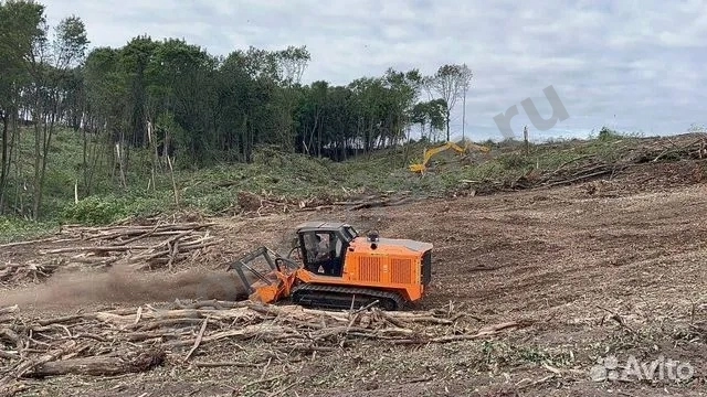 Расчистка территорий от деревьев и пней от 1 Га