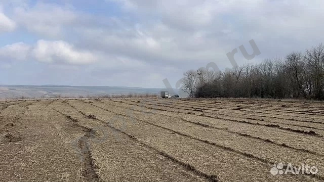 Расчистка территорий от деревьев и пней от 1 Га