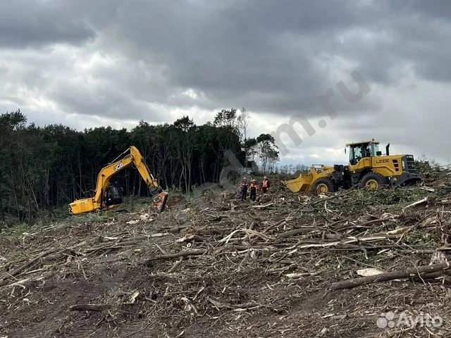 Расчистка территорий от деревьев и пней от 1 Га