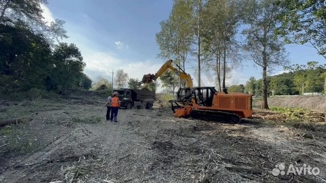Расчистка территорий от деревьев и пней от 1 Га