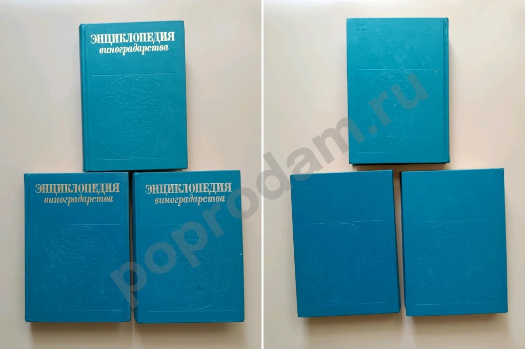 Энциклопедия виноградарства