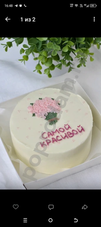 Торты Петрозаводск качественно и вкусно