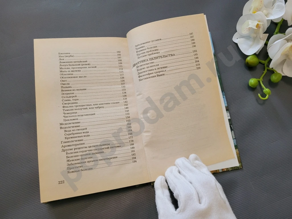 Лечебник Ванги. Лучшие рецепты великой целительницы 2009