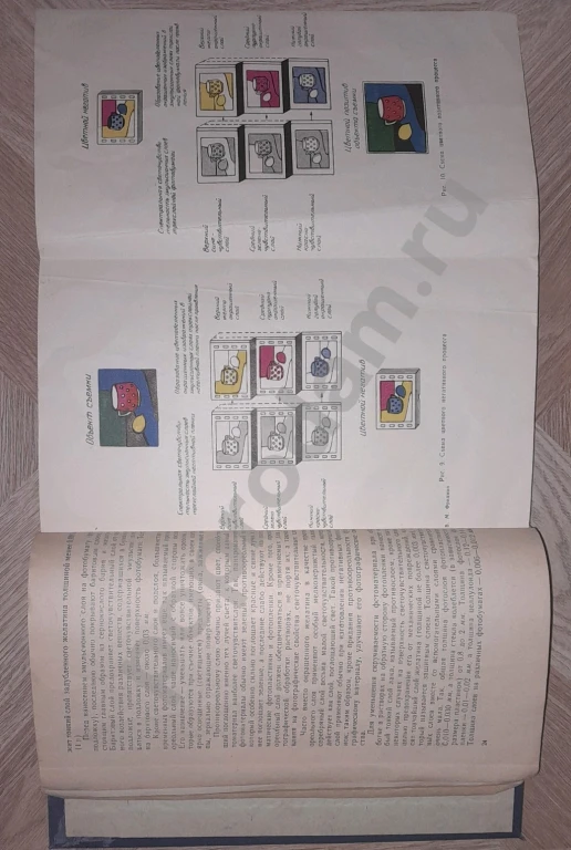 1954 г. В. М. Фридман: Фотография черно-белая, цветная, стереоскопическая