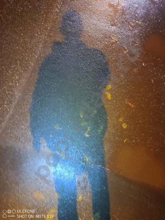 Скучен день до вечера, коли делать нечего!