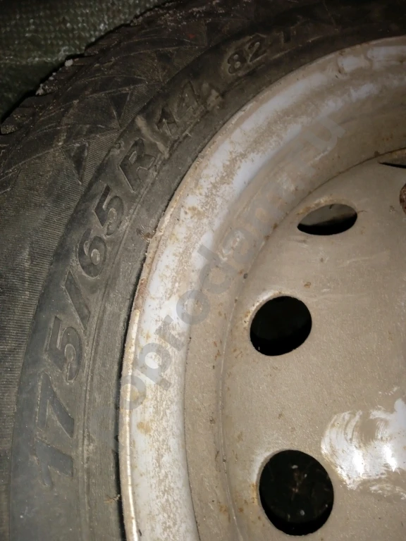 Авторезина зимняя