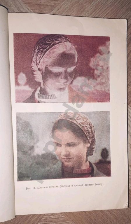 1954 г. Фотография черно-белая, цветная, стереоскопическая. Автор: В.М. Фридман