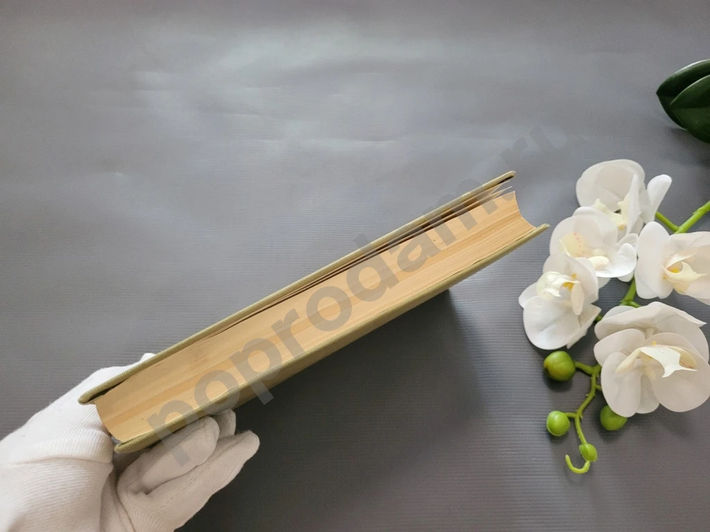 Позолоченный век | Уорнер Чарльз Дэдли, Твен Марк 1985г