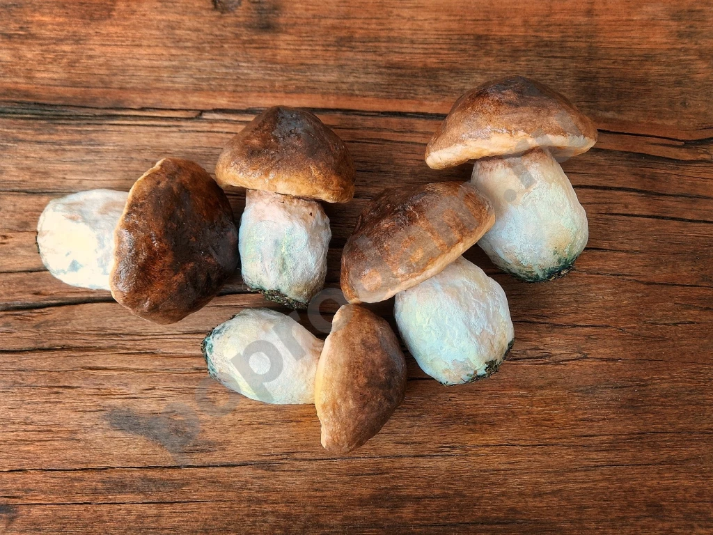 Ватные ёлочные игрушки грибы