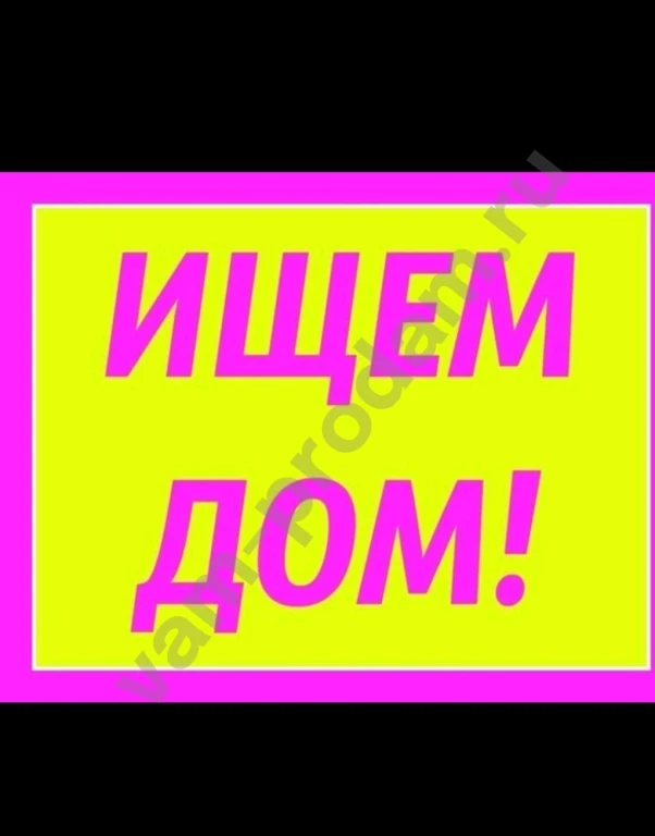 Молодой котик Мурзилка