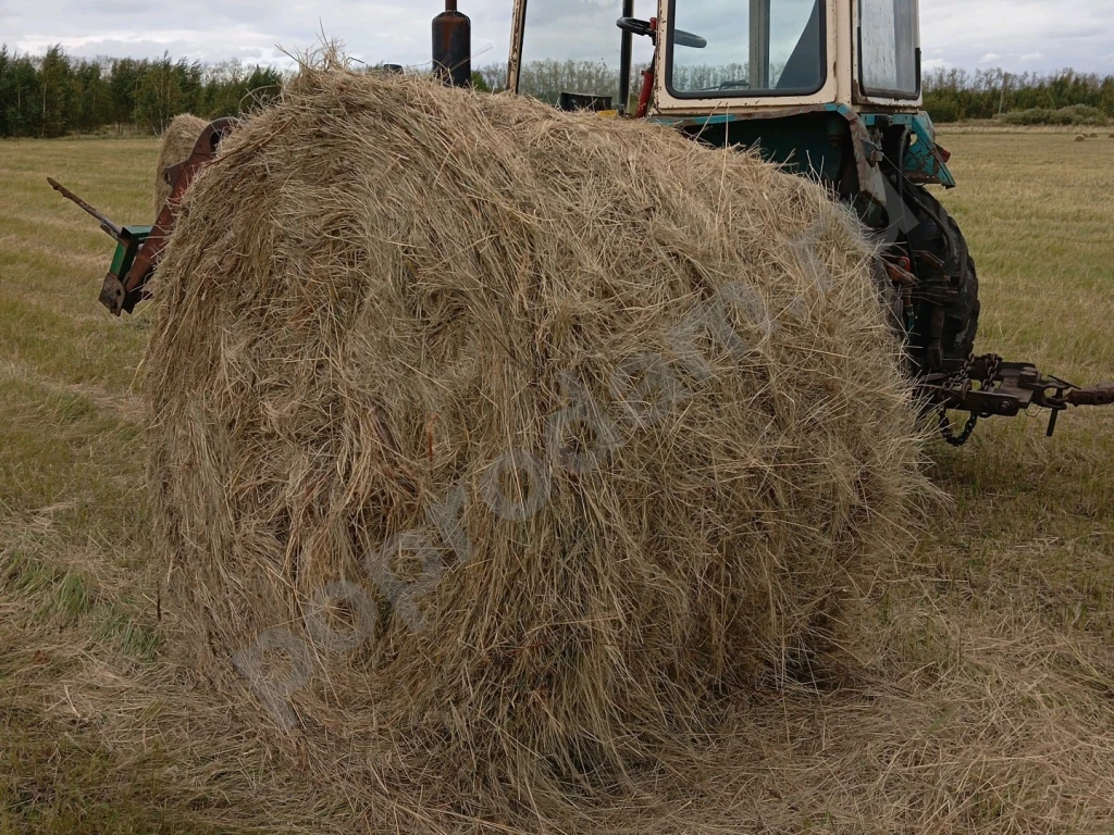 Сено, солома.