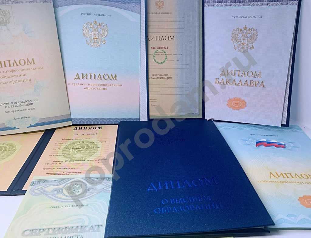 Диплом/аттестат/высшее образование