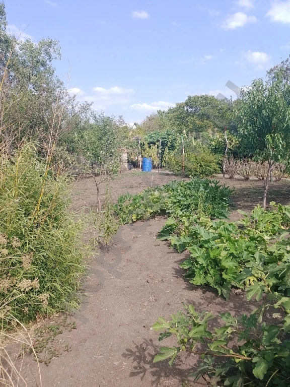 Участок 5 сот. Сельхозназначения (СНТ, ДНП)