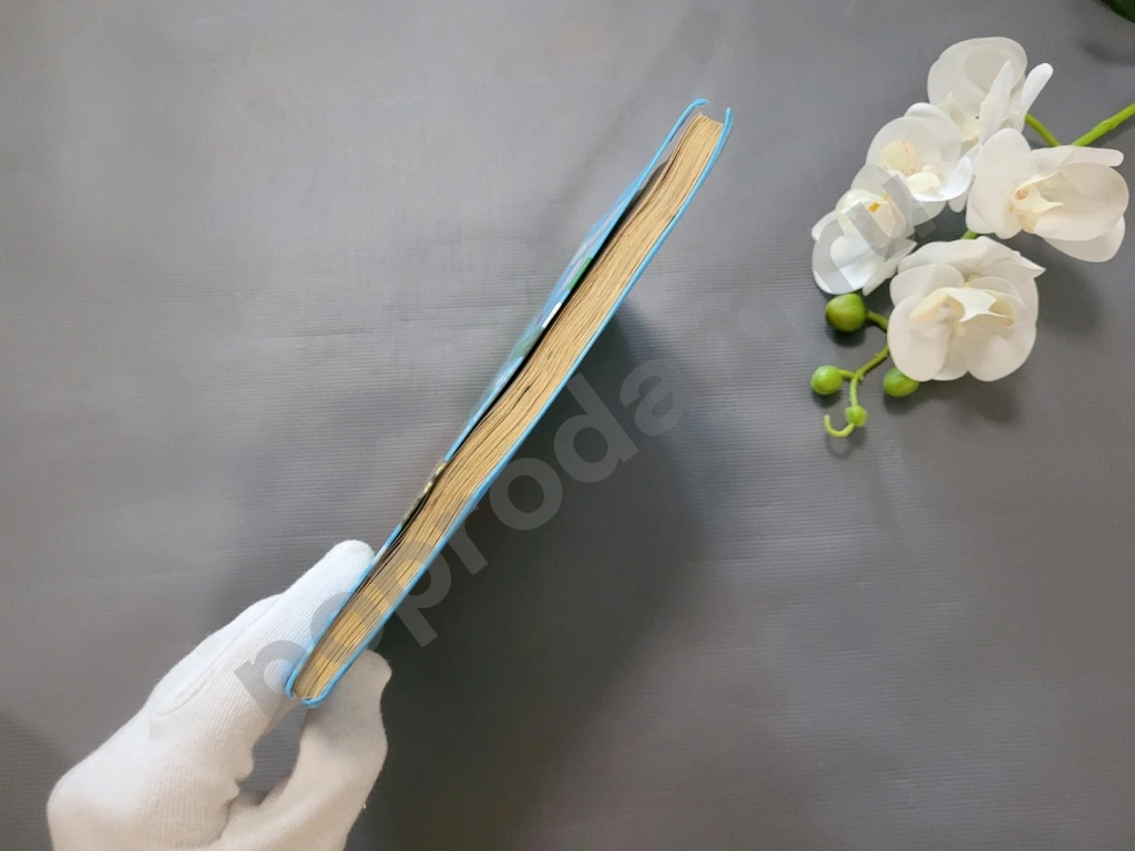 Учебник 2кл. Окружающий мир. Ч.1 (Федотова) ФГОС (ПерспективнаяНачШкола) (АК, 2009)