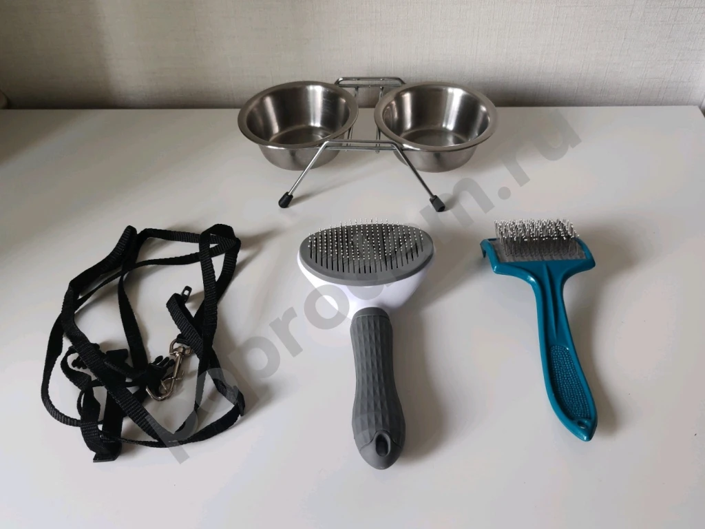 Набор для питомца