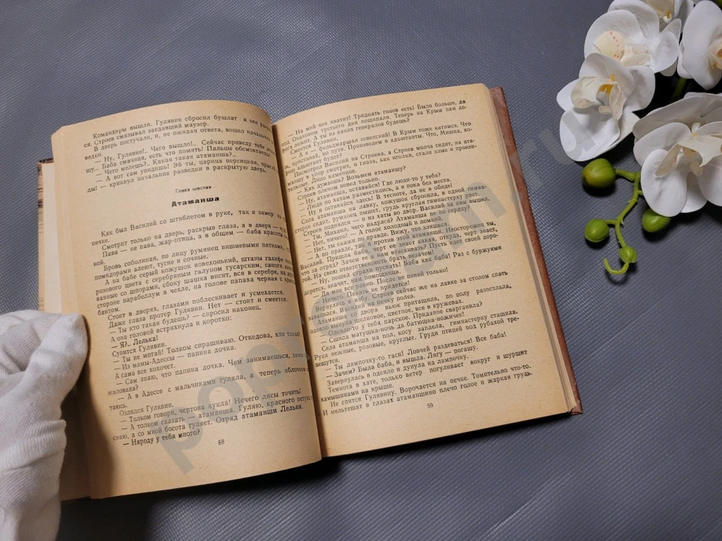 Сорок первый | Лавренев Борис Андреевич 1986г