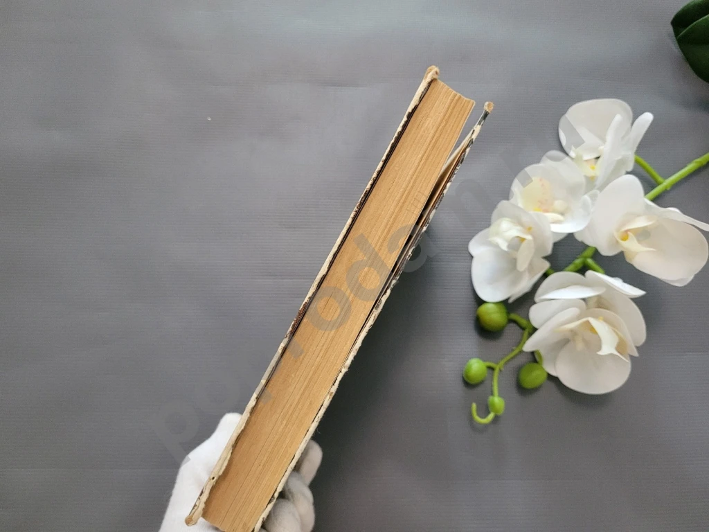 Николай островский как закалялась сталь 1969г