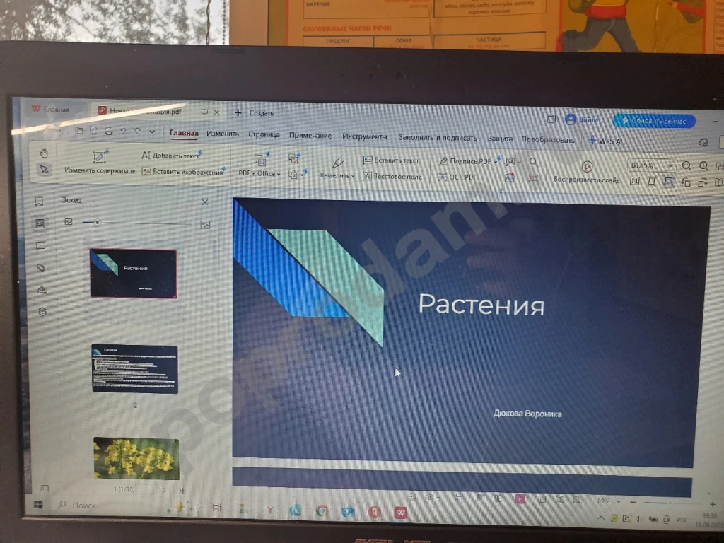 Презентации