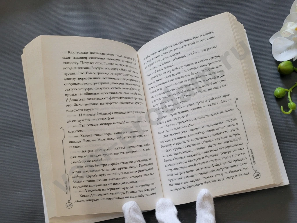 Тайна древней гробницы. Черный круг. Слишком глубоко | Карман Патрик, Уотсон Джуд