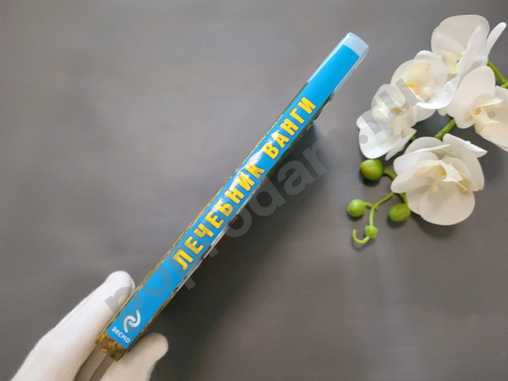 Лечебник Ванги. Лучшие рецепты великой целительницы 2009