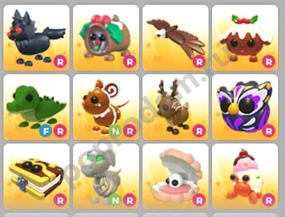 Петы адопт ми