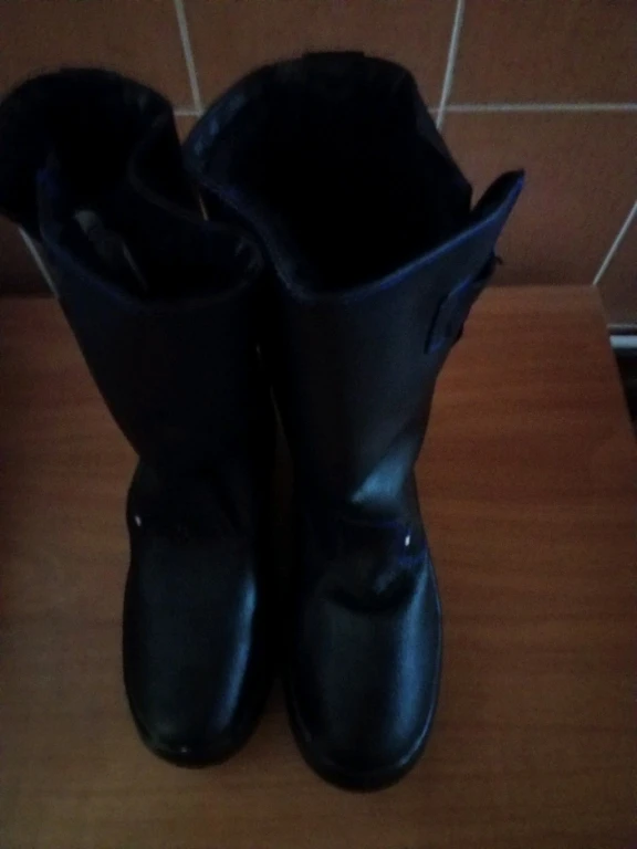 Сапоги мужские Легион