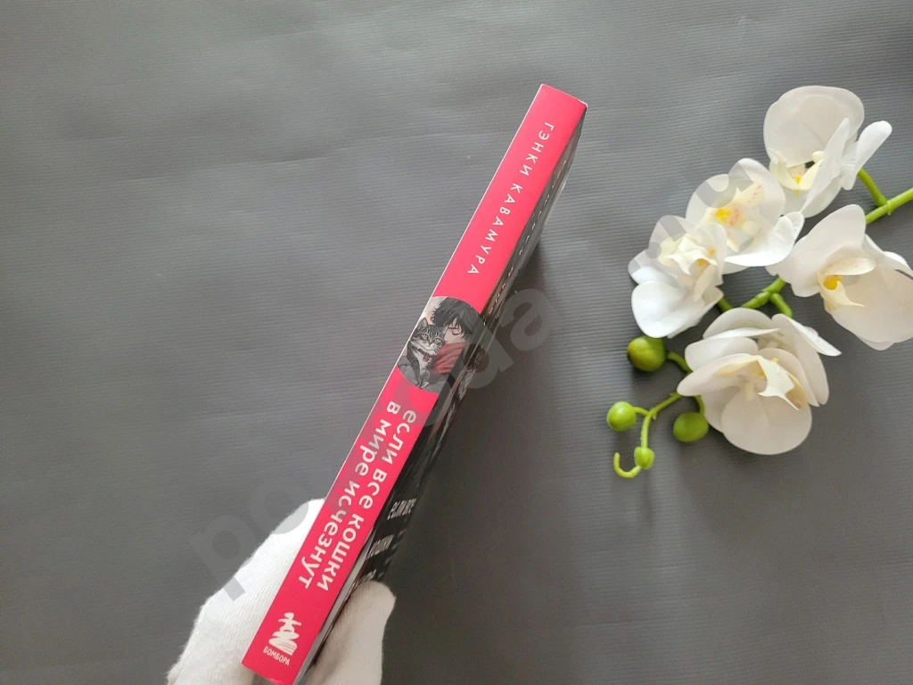 Гэнки Кавамура Если все кошки в мире исчезнут новая