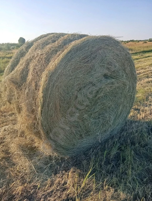 Сено, солома.