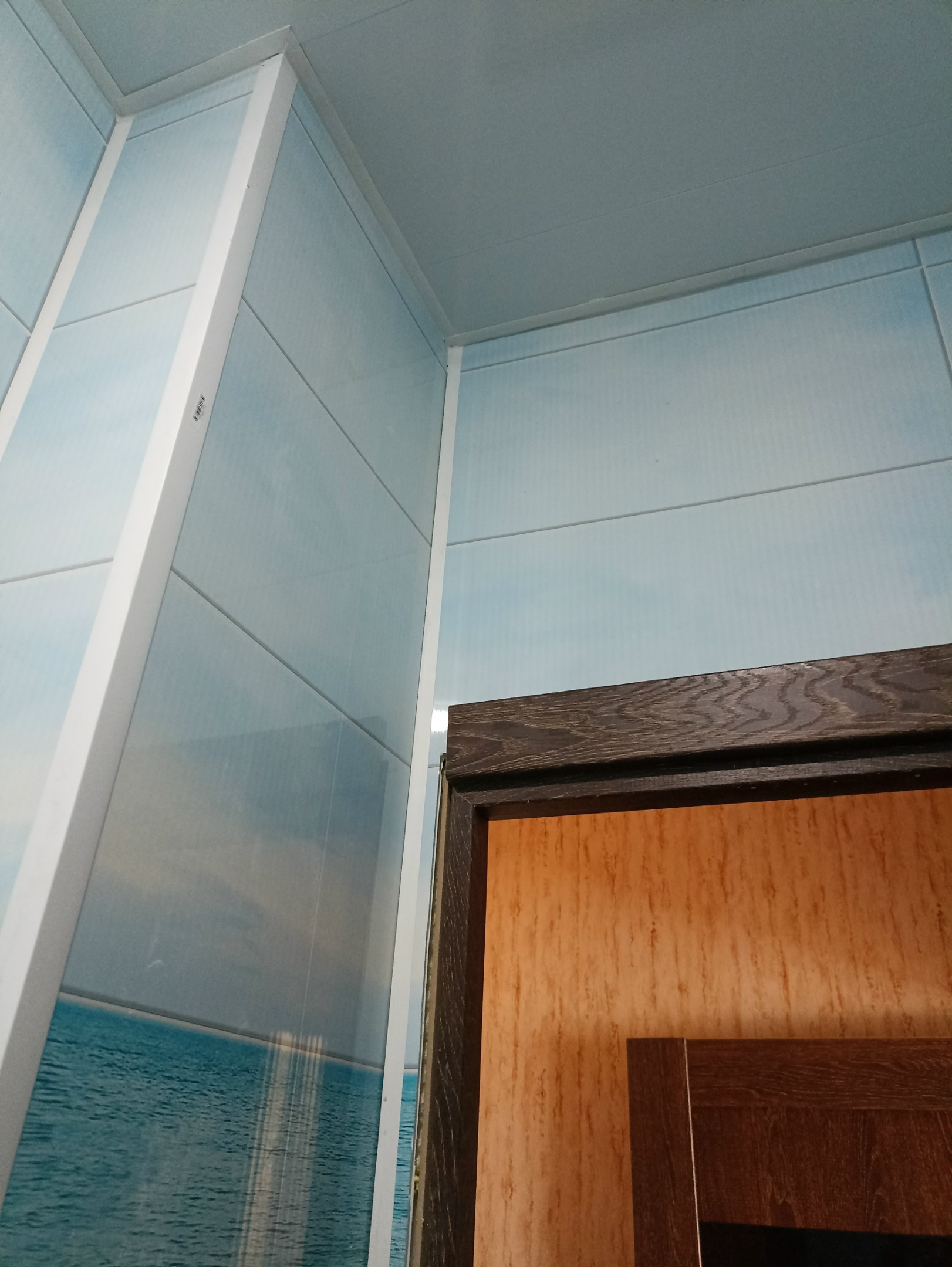 Ремонт ванных комнат, санузлов: туалет панелями (вместе с материалом)