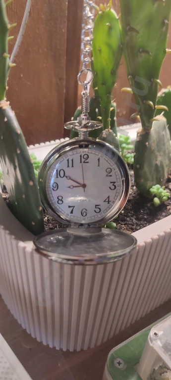 Карманные часы