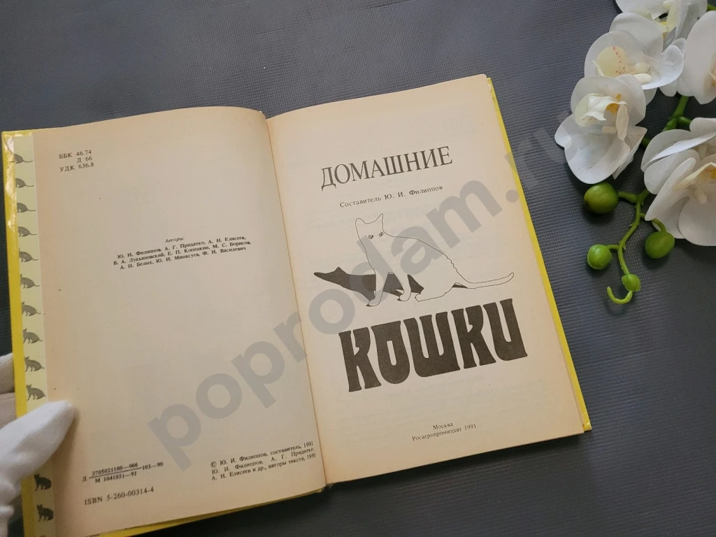 Филиппов / Домашние кошки 1991г