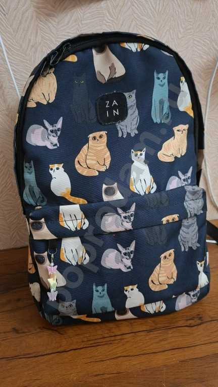 Портфель школьный