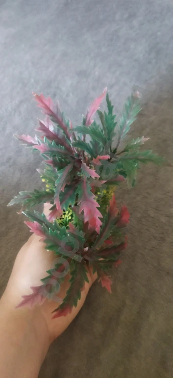 Аквариумные искусственные растения