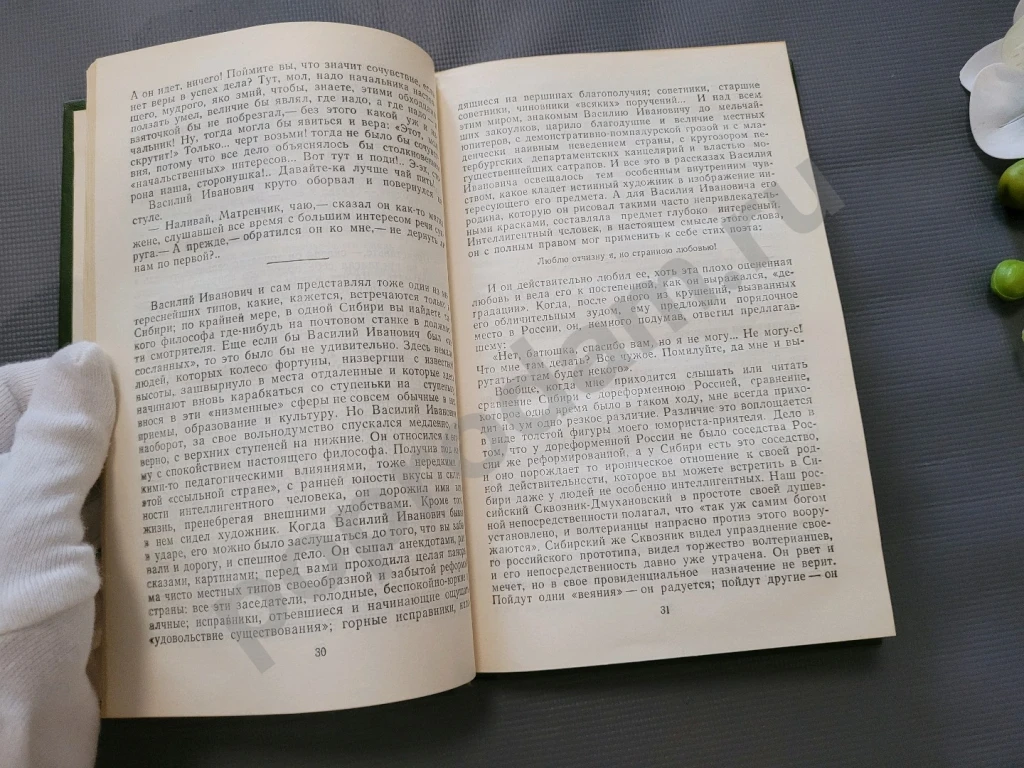 В. Г. Короленко. Рассказы и очерки | Короленко Владимир Галактионович 1982