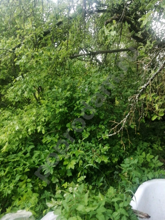 Участок 6 сот. Сельхозназначения (СНТ, ДНП)