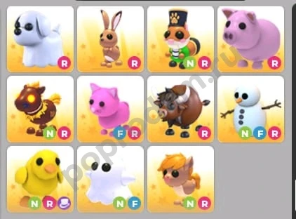 Петы адопт ми