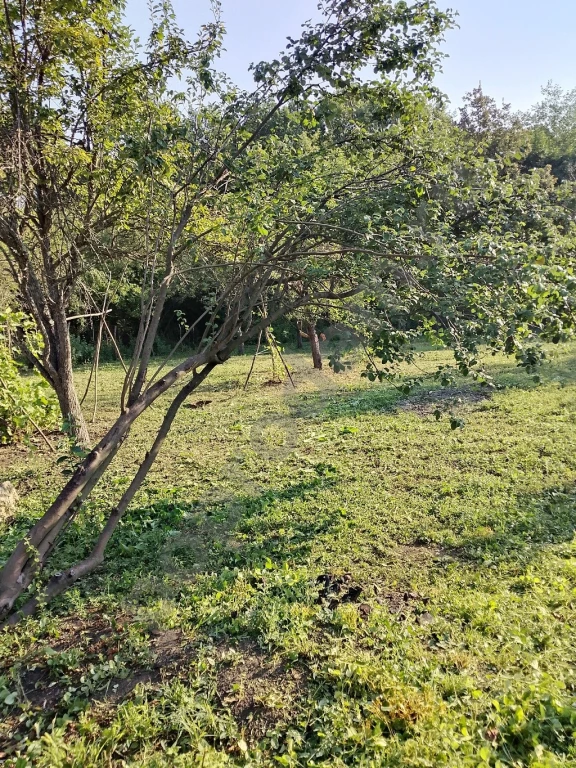 Участок 5 сот. Сельхозназначения (СНТ, ДНП)