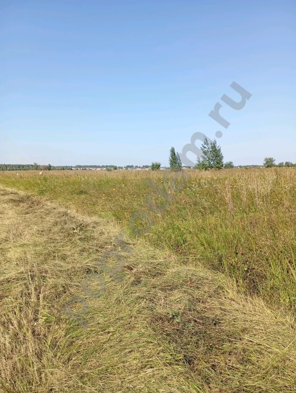 Сено, солома.