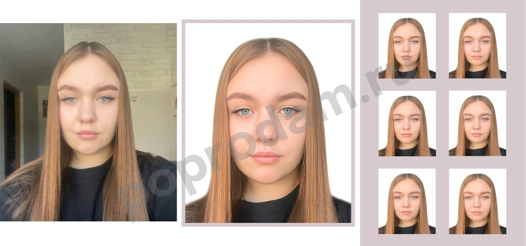 Фотография