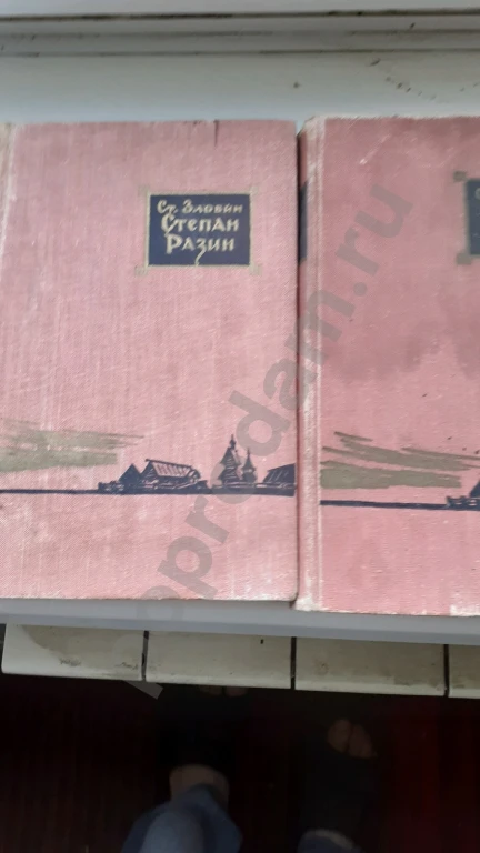 Злобин разин степан