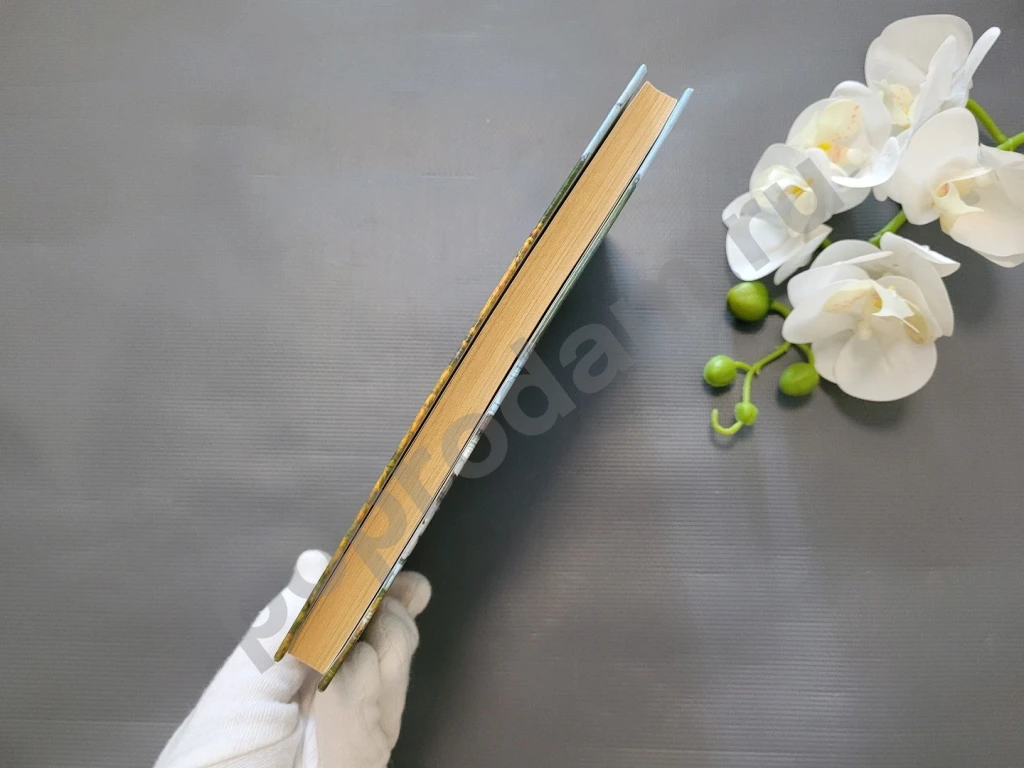 Лечебник Ванги. Лучшие рецепты великой целительницы 2009