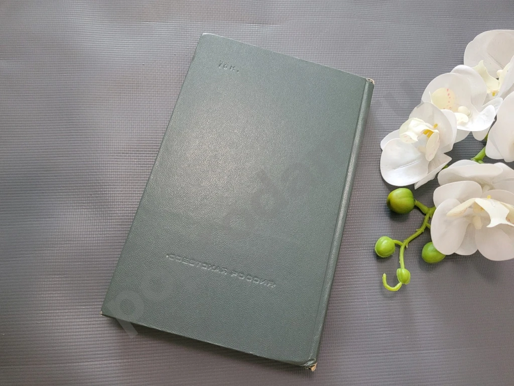 Василий Шукшин / Беседы при ясной луне 1975г