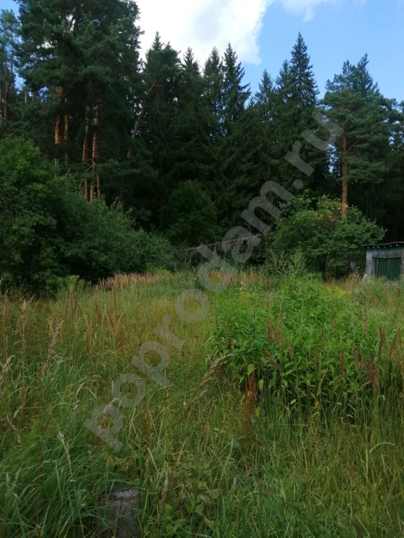 Дом 206 м² на участке 8 сот., Поселений (ИЖС)