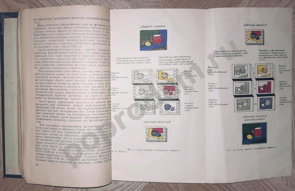 1954 г. Фотография черно-белая, цветная, стереоскопическая. Автор: В.М. Фридман