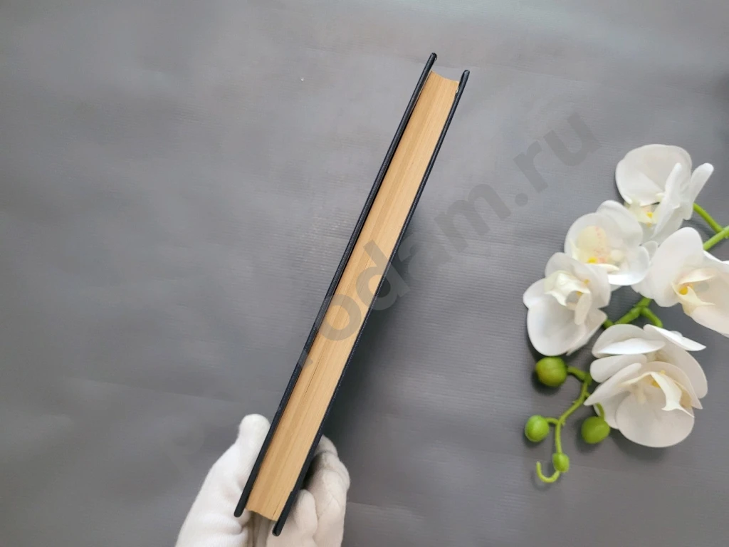 И.И. Лажечников Ледяной дом 1982