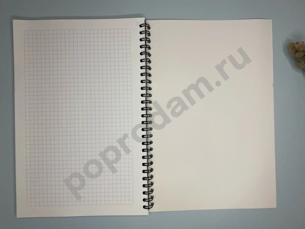 Рабочая тетрадь Я - Инвестор 2.0 Гогаладзе 75 л